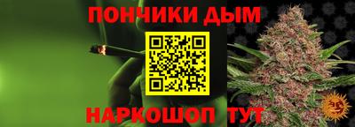 индика Кандалакша
