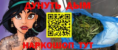индика Кандалакша