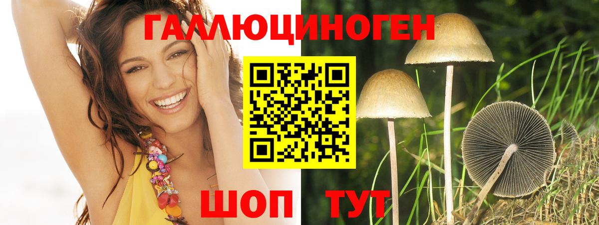 Сердобск  Псилоцибиновые грибы прущие грибы  Вход с VPN 